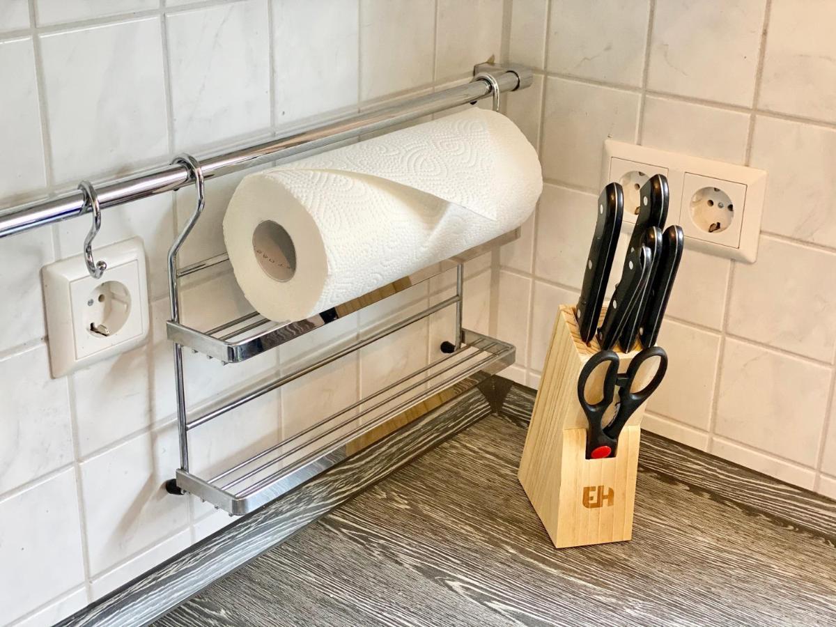 皮尔纳Elbflair公寓 外观 照片